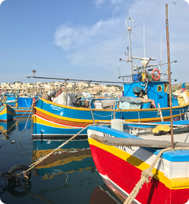 Maltese fishing